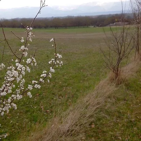 D'hote Aux Sablieres Saint-Lattier
