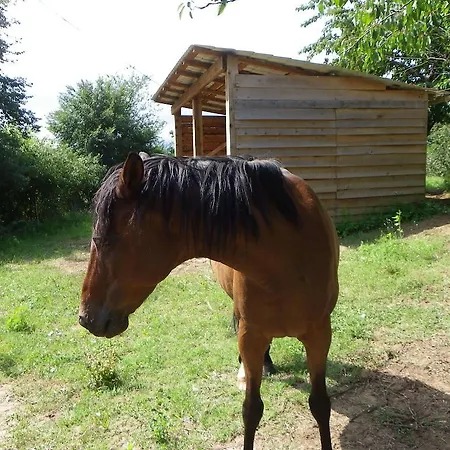 D'hote Aux Sablieres Bed & Breakfast